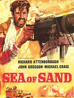 poster de Les Diables du désert