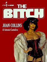 poster de The Bitch