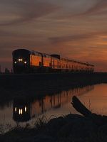 poster de In Transit