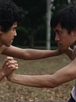 poster de Le renard exploite la force du tigre