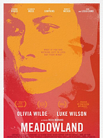 poster de Dans la brume du soir