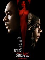 poster de When The Bough Breaks