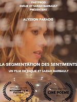 poster de La Segmentation des sentiments