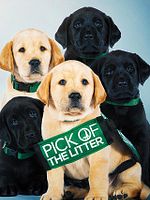 poster de Pick of the Litter