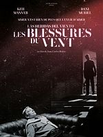 poster de Les Blessures du vent