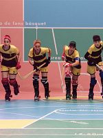 image de Les Filles du rink