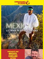 poster de MEXIQUE, Le train aux pieds légers