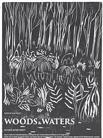 poster de Woods & Waters