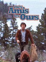poster de Mes amis les ours
