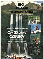 poster de Un Cowboy à Hawaï