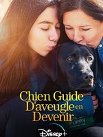 poster de Chien guide d'aveugle en devenir