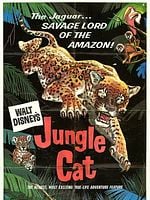 poster de Jungle Cat