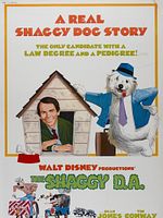 poster de Un candidat au poil