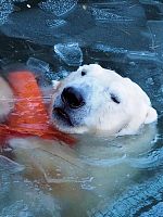 poster de Everything Will Change : il était une fois 2054