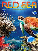 poster de Red Sea