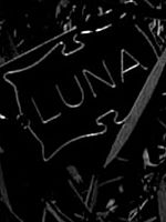 poster de Luna