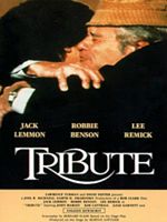 poster de Un fils pour l'été