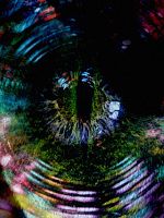 poster de The Spiral