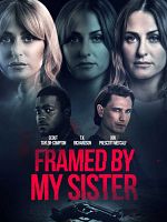 poster de La sœur de trop