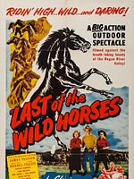 poster de Last of the Wild Horses