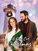 poster de Il faut sauver la maison de Noël