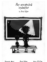 poster de Une rencontre inattendue