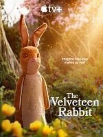 poster de Le Lapin de velours