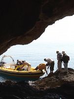 poster de Adieu, la mémoire des lieux