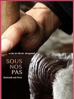 poster de Sous nos pas