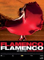 Flamenco, Flamenco