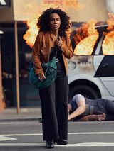 Affiche de L'Appel du chaos, film à voir en streaming sur Pygargue