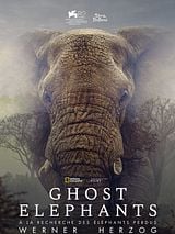 poster du film Ghost Elephants