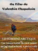 poster du film Le Combiné Arctique