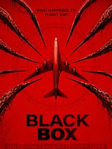 Affiche de Boîte noire, film à voir en streaming sur Pygargue