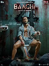Affiche de Baaghi 4, film à voir en streaming sur Pygargue