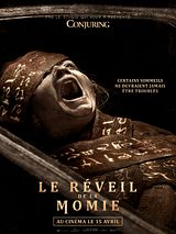 Affiche de Le Réveil de la Momie, film à voir en streaming sur Pygargue