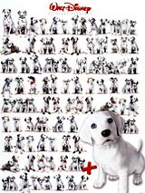 Affiche de 102 dalmatiens, film à voir en streaming sur Pygargue