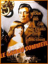 Affiche de Le Grand sommeil, film à voir en streaming sur Pygargue