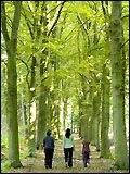Affiche de Wolfsbergen, film à voir en streaming sur Pygargue