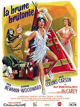 Affiche de La Brune brulante, film à voir en streaming sur Pygargue