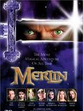 Affiche de Merlin, film à voir en streaming sur Pygargue