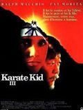 Affiche de Karate Kid 3, film à voir en streaming sur Pygargue