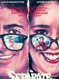 Affiche de Separate vacations, film à voir en streaming sur Pygargue