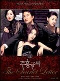 Affiche de The Scarlet Letter, film à voir en streaming sur Pygargue