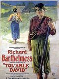 Affiche de David l'endurant, film à voir en streaming sur Pygargue