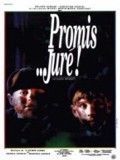 Affiche de Promis... juré !, film à voir en streaming sur Pygargue