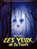 Affiche de Les Yeux de la Forêt, film à voir en streaming sur Pygargue