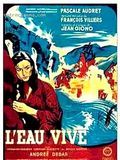 Affiche de L'Eau vive, film à voir en streaming sur Pygargue