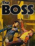 Affiche de Le Boss, film à voir en streaming sur Pygargue