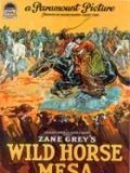 Affiche de Wild Horse Mesa, film à voir en streaming sur Pygargue